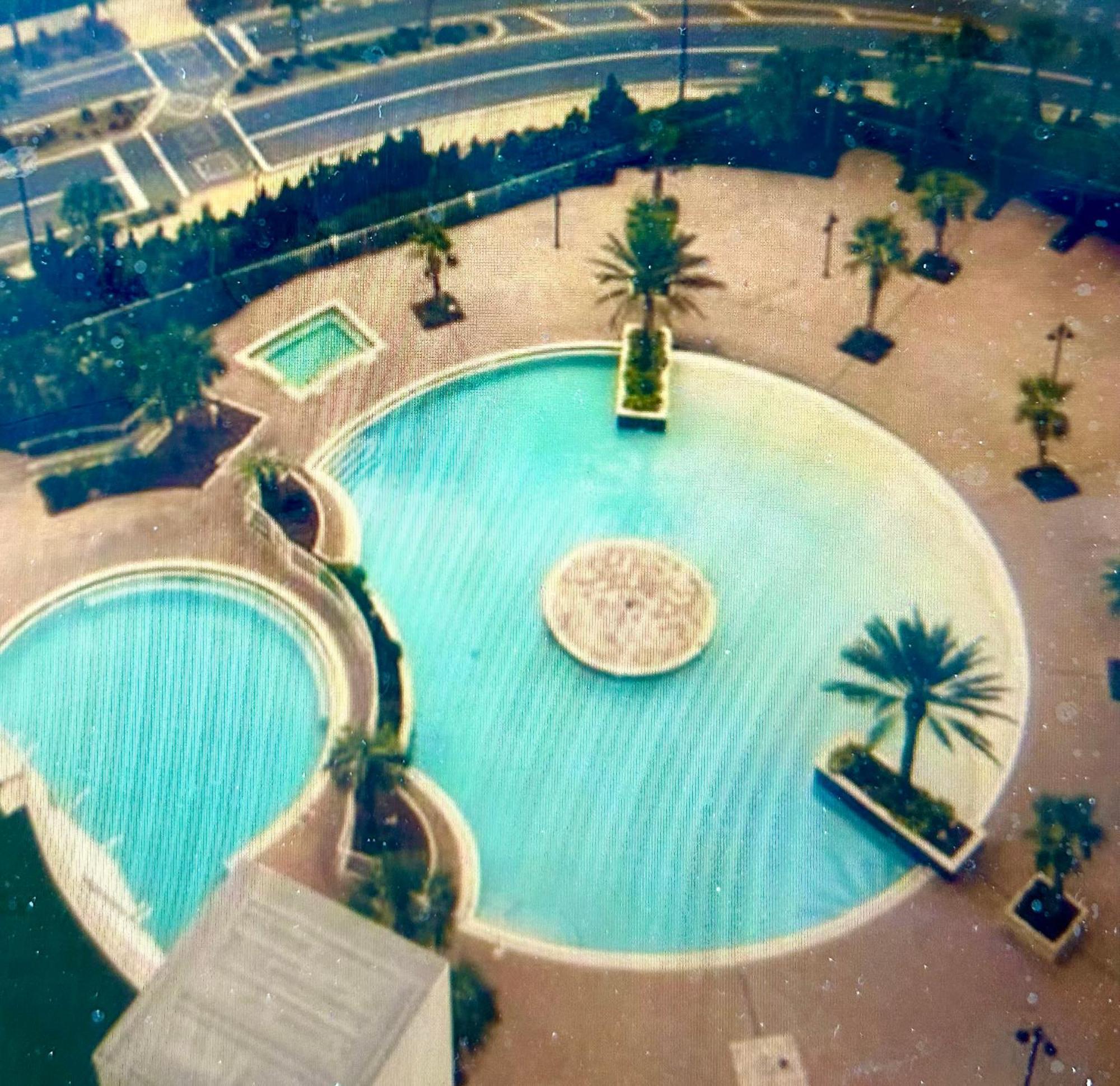 Something Blue Paradise *